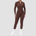 Brown Long Sleeve Jumpsuit